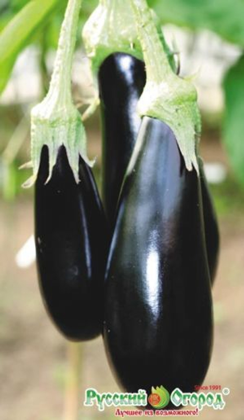 Баклажан Марципан F1