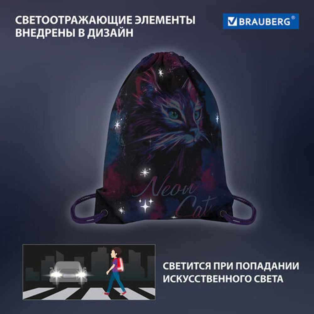 Мешок для обуви BRAUBERG PREMIUM, карман, подкладка, светоотражайка, 43х33 см, "Neon cat", 271621