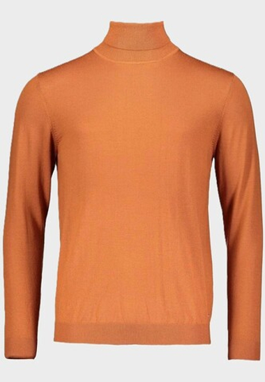 Водолазка ROY ROBSON