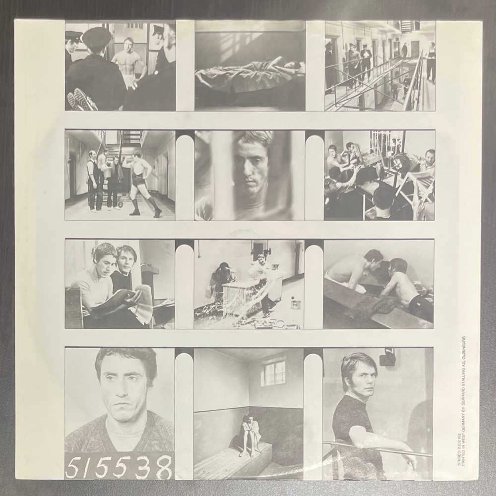 Виниловая пластинка Roger Daltrey ‎– McVicar LP