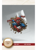 Термонаклейка на одежду, термопринт Паук