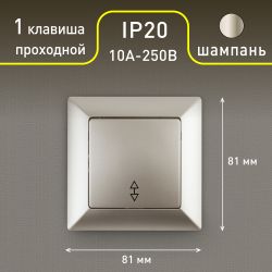 Переключатель Intro Solo 4-103-04 одноклавишный 10А-250В, IP20, СУ, шампань
