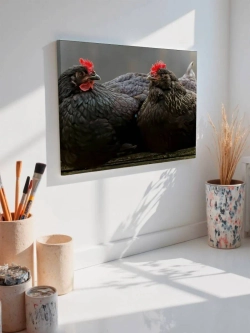 Картина на стену 40 X 50 Курицы