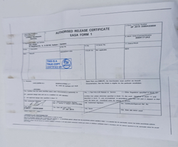 Ролик A825400441-000