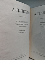 Антон Чехов. Полное собрание сочинений и писем в 30 томах. Сочинения в 18 томах. Том 9. 1894-1897