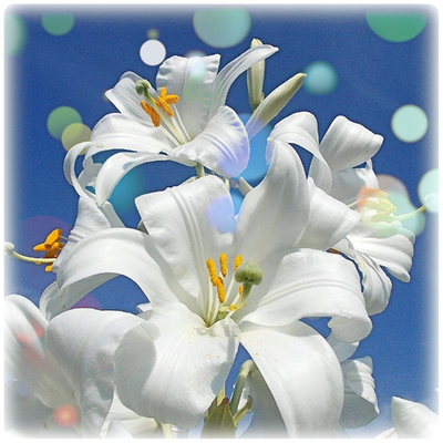 Практический Интенсив «Путь Физического Мастерства» Часть 6