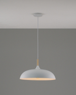 Подвесной светильник Moderli V1330-P Hygo