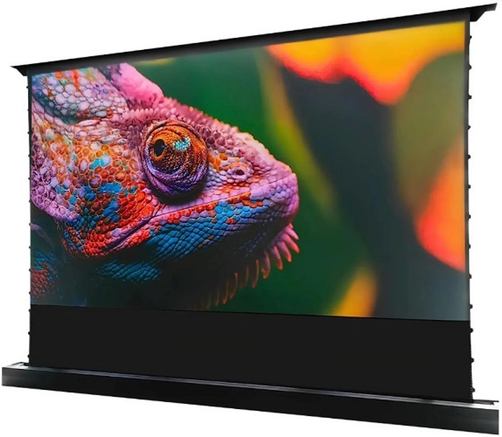 Экран  Cactus CS-PSFRCLR-263X148