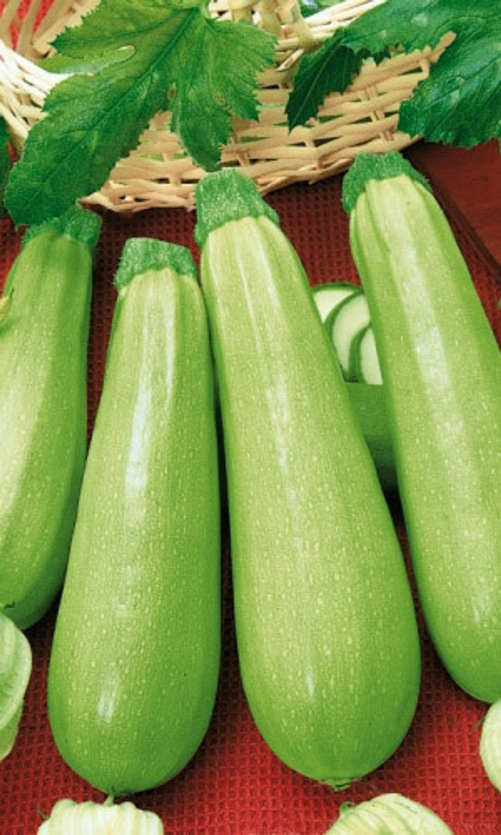 Семена Кабачок Искандер F1 6шт (УД) Е/П