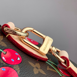 Louis Vuitton Speedy 20