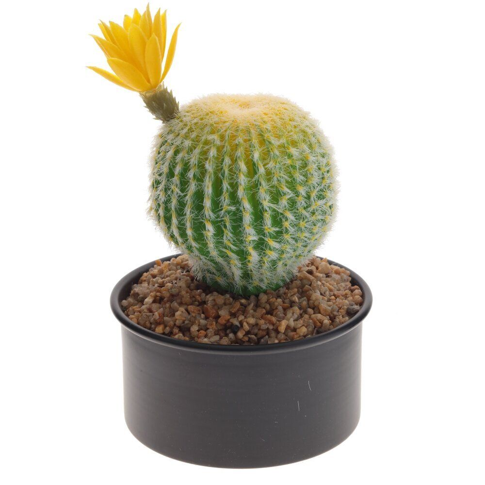 GAEM Цветочная композиция "Кактус", L13 W13 H20 см