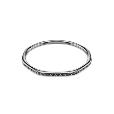 DEXTERA:BANGLE CRY SINI/RUS S