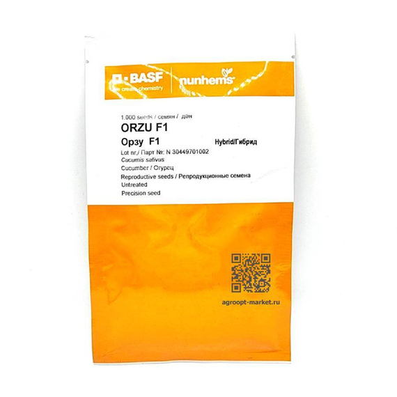 Орзу F1 семена огурца партенокарпического (Nunhems / Нюнемс) – фото 5