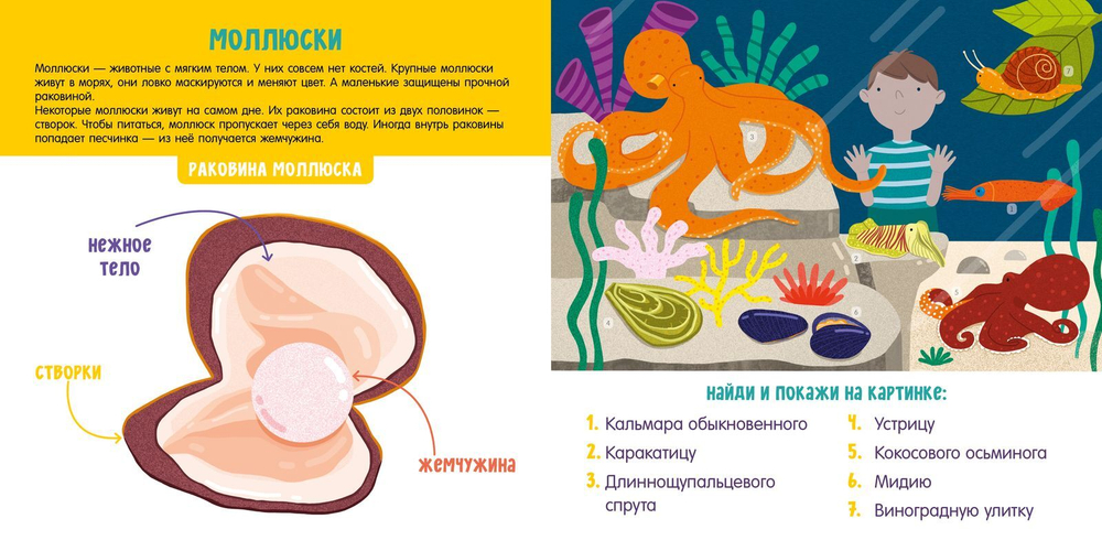 Животные. Визуальный словарь
