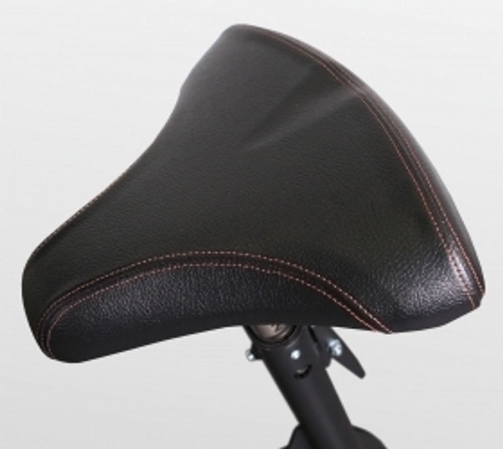 Скамья Скотта Bronze Gym BR-1007