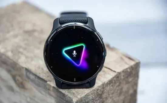 Умные часы Garmin Venu 2 Plus, черный