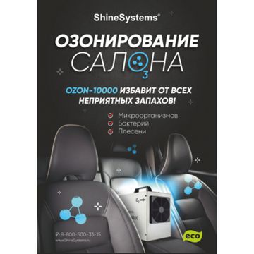 Shine Systems Плакат А4 Ozon