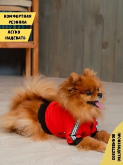 Спортивный комбинезон костюм для собак