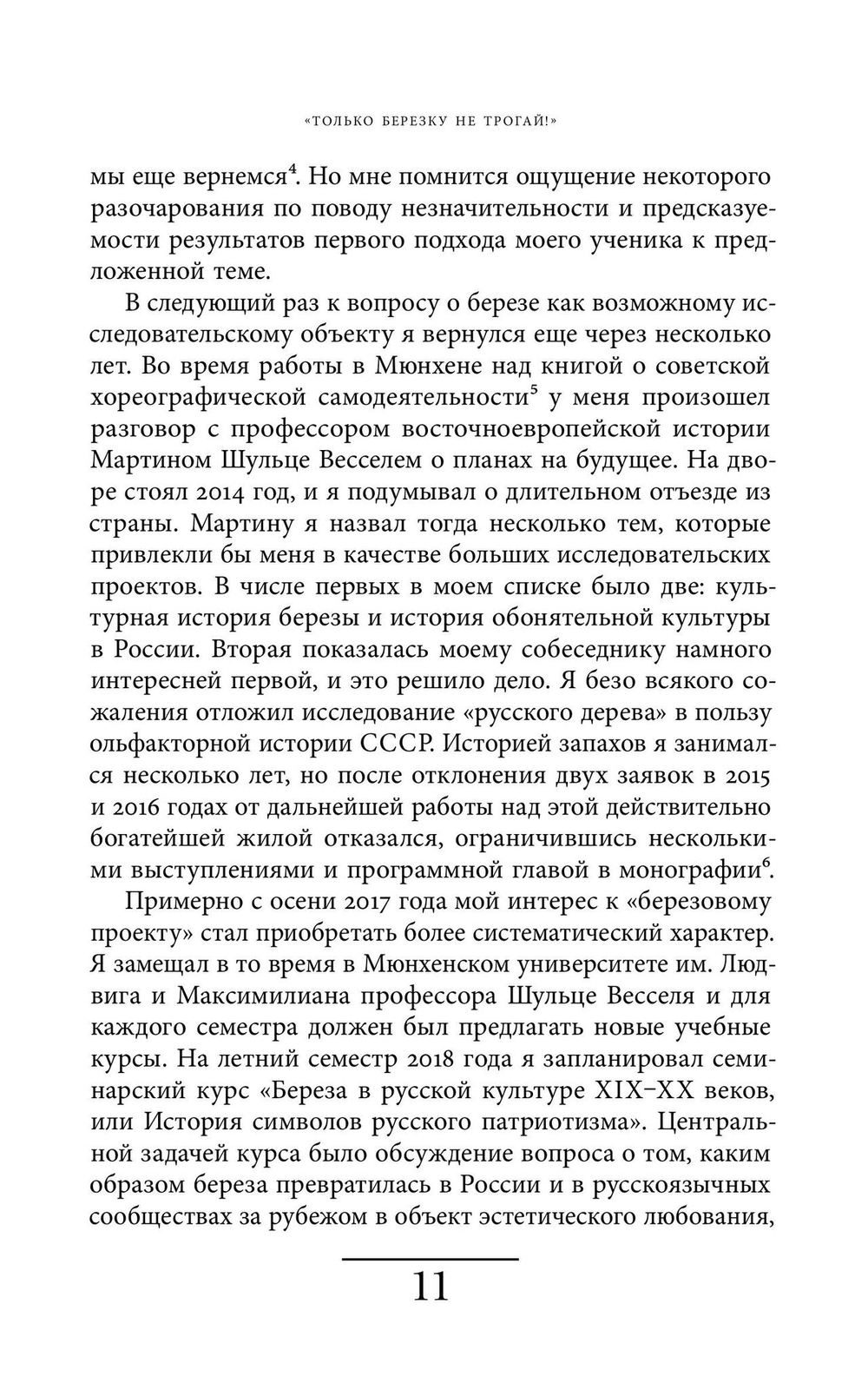 Русская березка