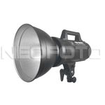 Grifon GEMINI GS-300II