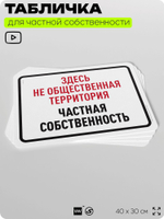 Табличка для частной территории "Здесь не общественная территория, частная собственность", на дом, для участка, организаций, предупреждающая, 40х30 см, Silver Plane x Айдентика Технолоджи