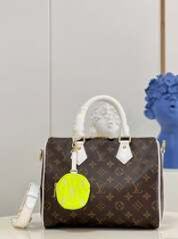 Louis Vuitton Speedy 25