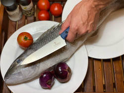 Кухонный нож Alexander M PRO M390 C-tek