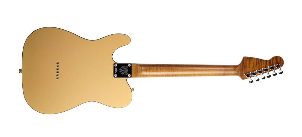 Электрогитара Bear Music GE-01T Pro