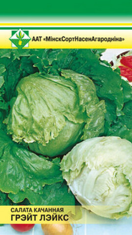 Салат кочанный "Грейт лейкс" 0.5г, Польша.