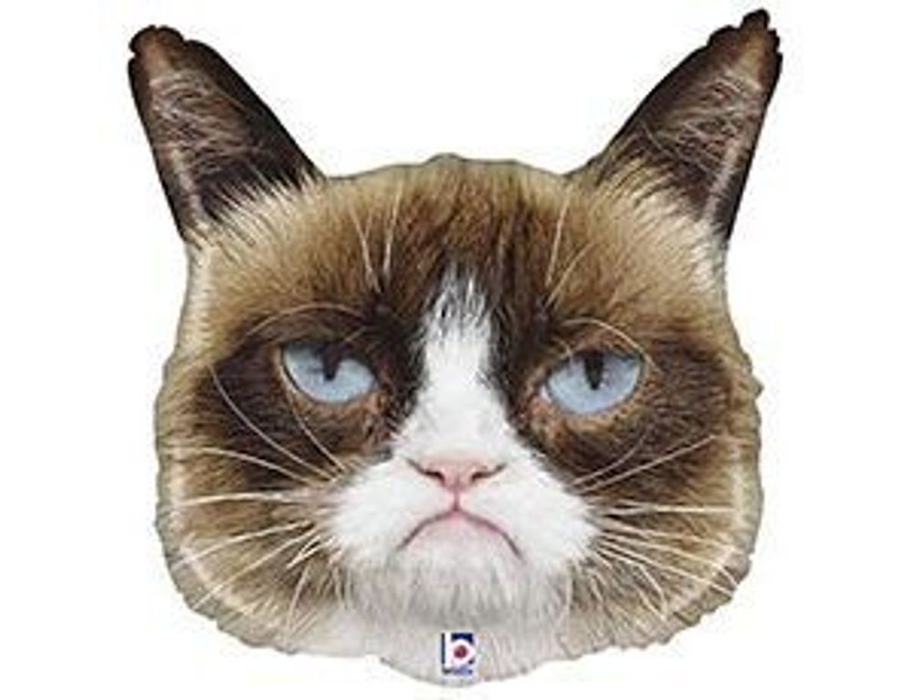 Б ФИГУРА Сердитая Кошка