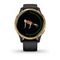 Garmin VENU черные с золотистым безелем
