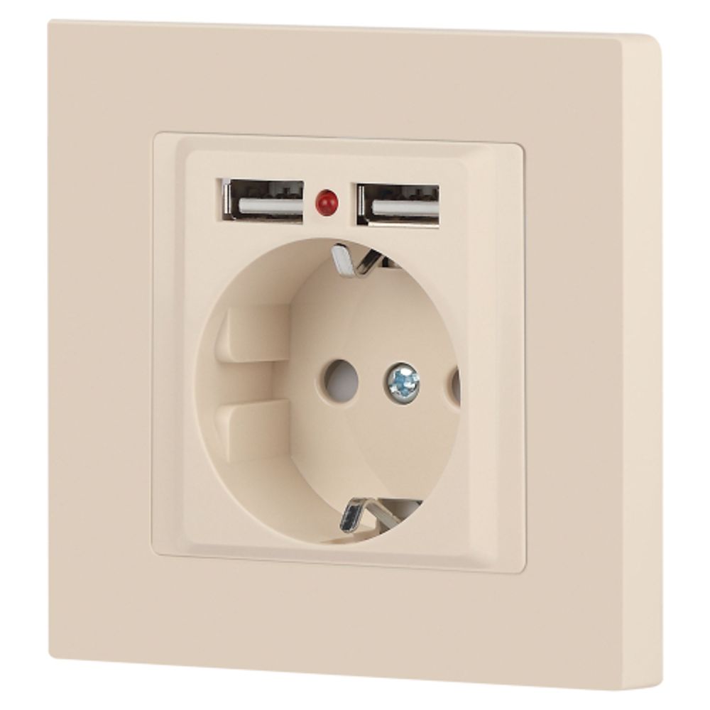 Розетка Intro Accent 6-410-02 , P+E Schuko со шторками, 16А-250В + 2хUSB, IP20, СУ, слоновая кость | Intro