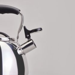 ЧАЙНИК СО СВИСТКОМ И СКЛАДЫВАЮЩЕЙСЯ РУЧКОЙ, 2.9Л