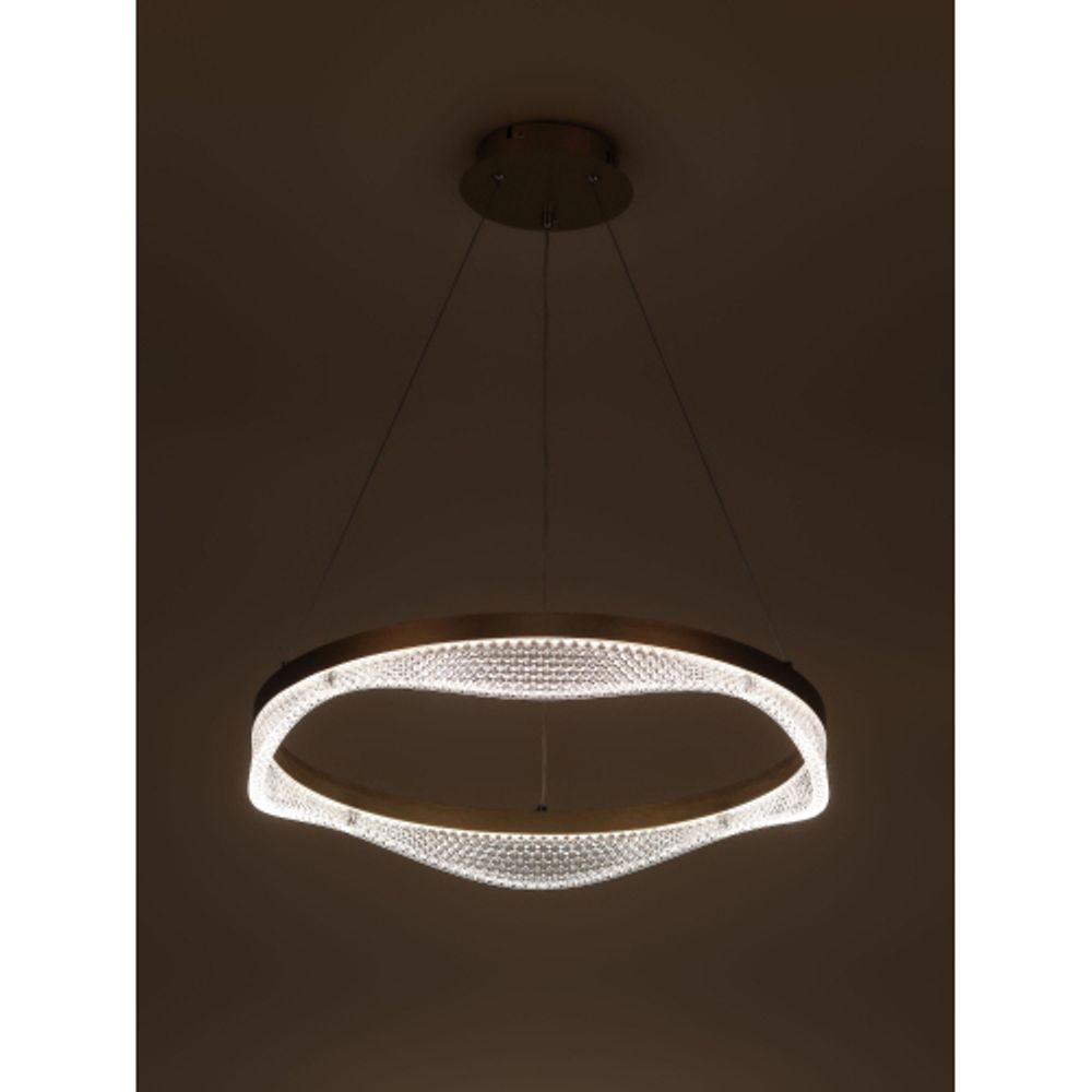 Светильник потолочный светодиодный Rivoli Dana 6189-201 LED 3000 - 6300К 56 Вт с пультом | Интерьерные светодиодные светильники