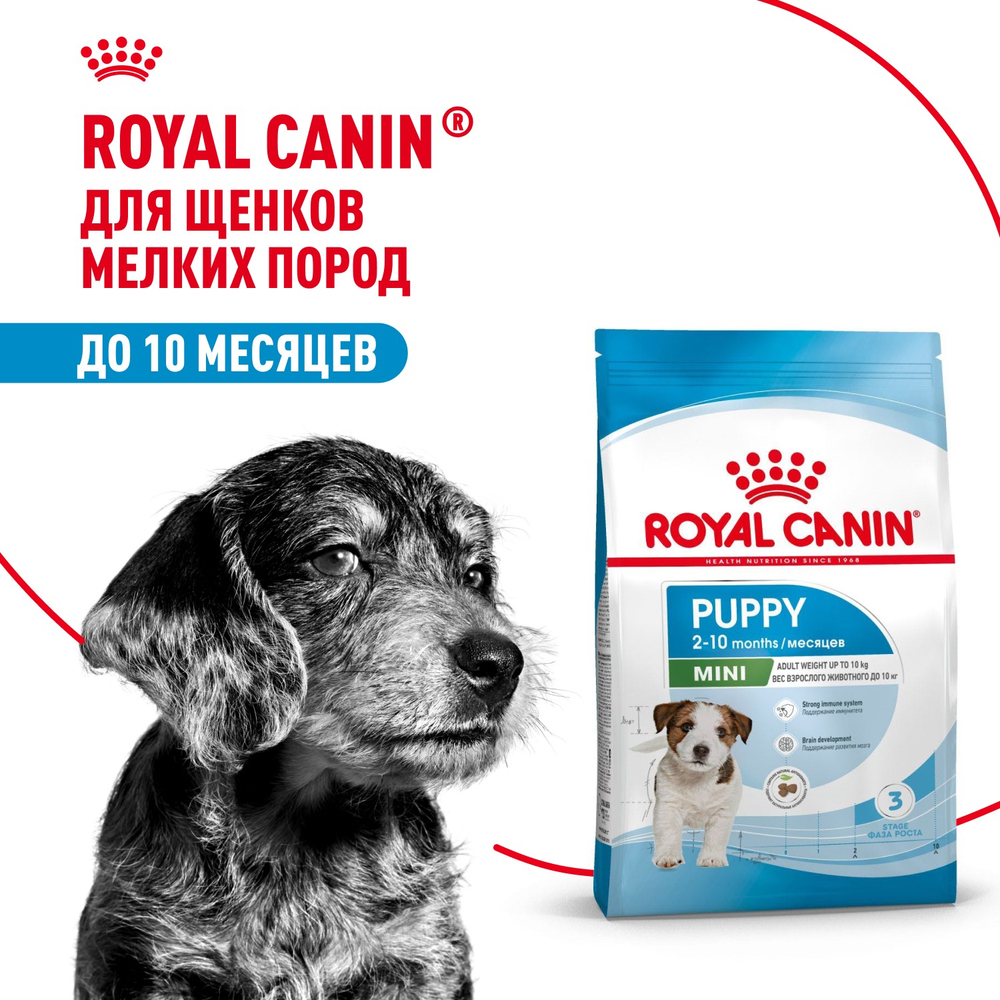 Royal Canin Mini Puppy Мини Паппи Корм сухой для щенков мелких пород в возрасте до 10 месяцев 4кг