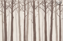 Коллекция ARBRE