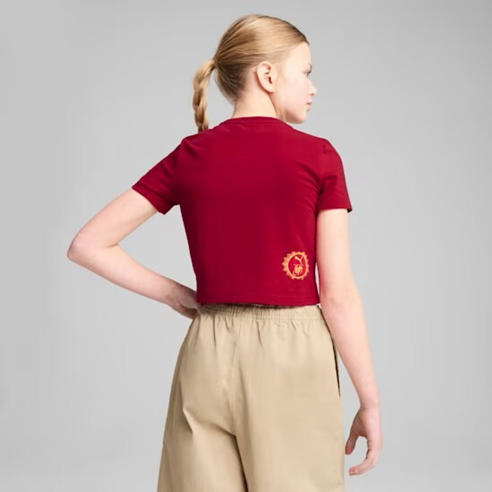 PUMA X HARRY POTTER ФУТБОЛКА, КРАСНЫЙ