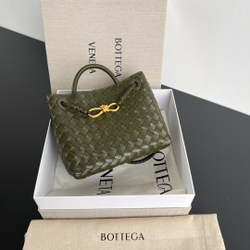 Bottega Veneta Small Andiamo 25 cm