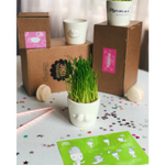 Набор для выращивания eco мини-кашпо «Усы»