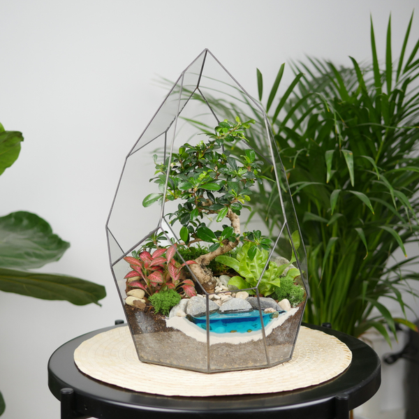 Готовый флорариум бонсай Кармона Айсберг с озером