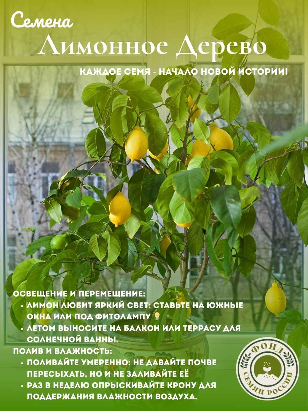 Лимонное дерево, Домашний лимон, Семена 5 шт. + подарочные семена