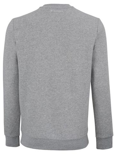 Мужская теннисная кофта Tecnifibre Team Sweater - silver
