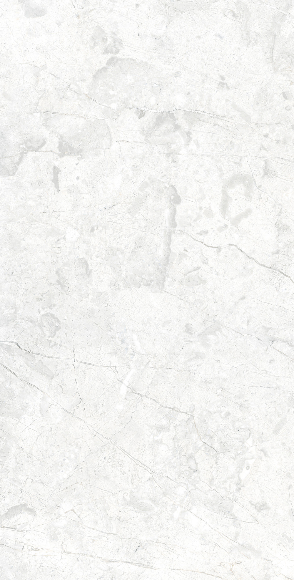 Керамогранит, Arcadia Ceramica, MARCUS BIANCO, 1200x600 мм, матовая