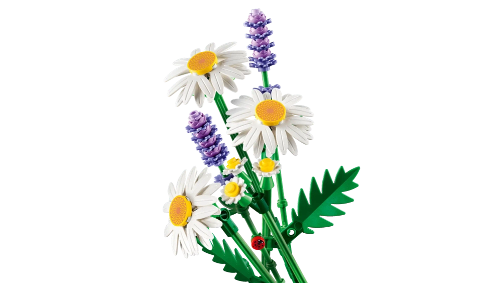 Конструктор LEGO Botanical Collection 11508 Daisies