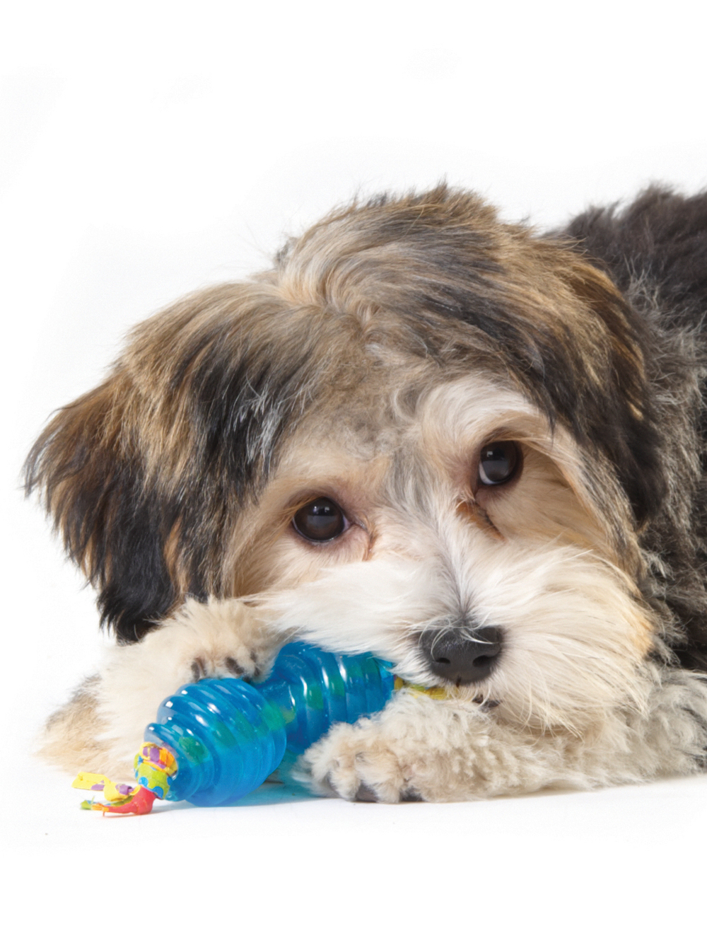 Petstages набор из двух игрушек для собак мелких пород "ОРКА косточка + гантеля" 7 см ультра-мини