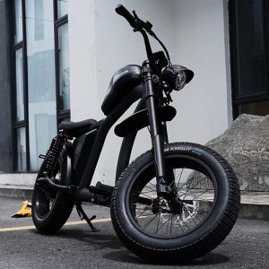 Электровелосипед Mangosteen FT-02 EEC 60V1000W30A