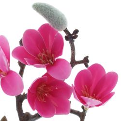 GAEM Цветочная композиция "Магнолия", L16 W12 H28 см
