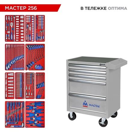 Цена на МАСТАК (52-05256G) Набор инструментов 256 предметов, "МАСТЕР 256", в серой тележке