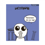 Комплект предметных тетрадей А5 48л., 10 предметов, со справ матер, скрепка, мелов. картон (стандарт), блок офсет, Alingar "Мемы"