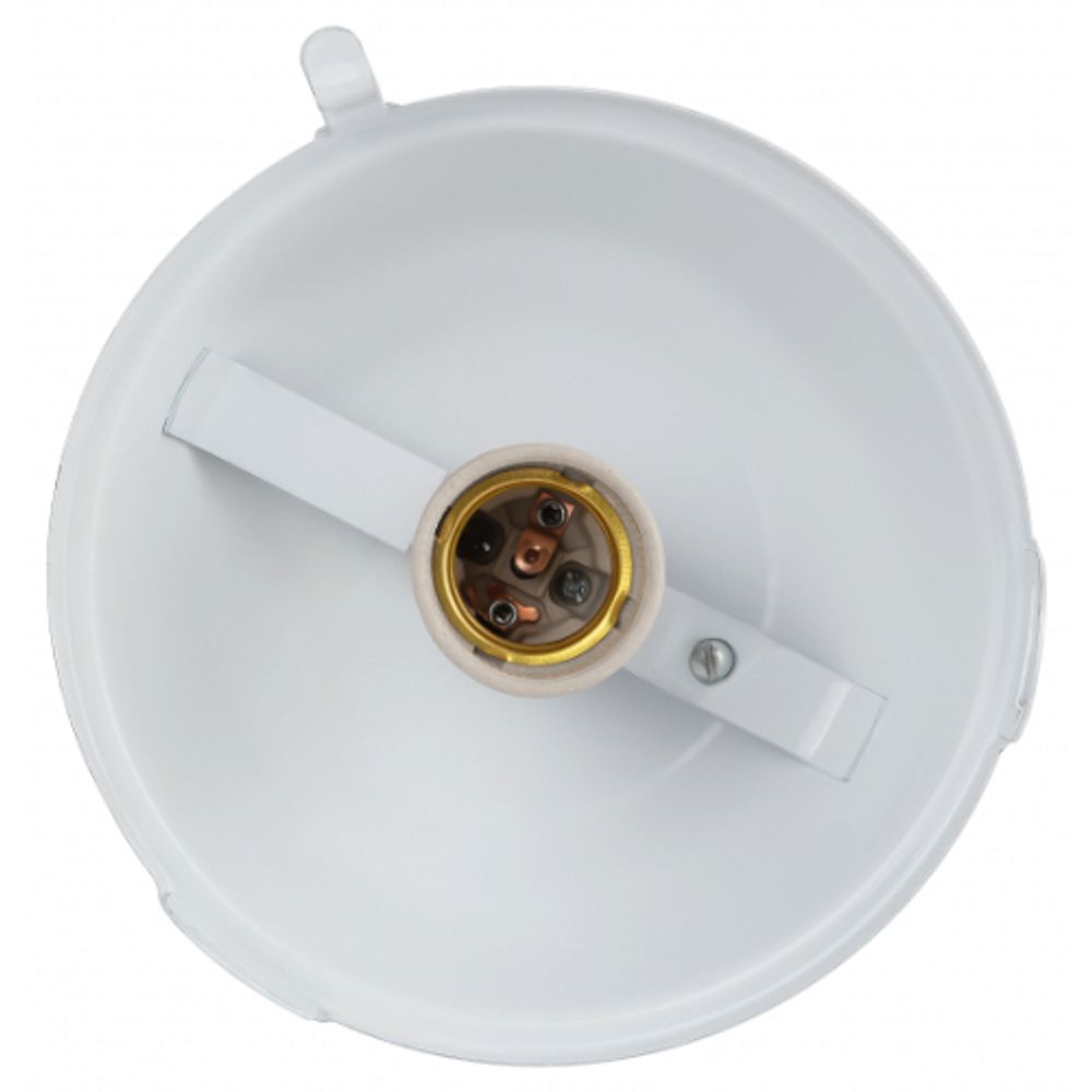 Светильник ЭРА НСП 41-200-001 без решетки Желудь сталь / стекло IP54 E27 max 200Вт 185х260 белый